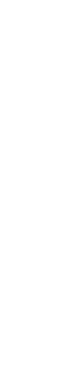 母の日